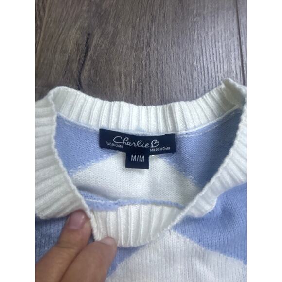 Charlie B Women’s M Geometric Zigzag Knit Sweater Long Sleeve Blue Gray White - Picture 3 of 6